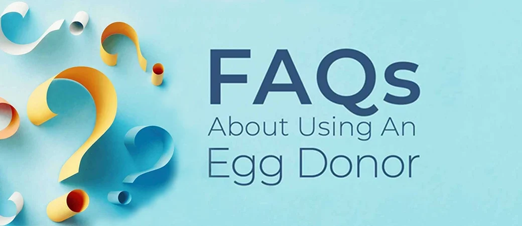 A light blue banner with question marks reads "FAQs about using an egg donor."