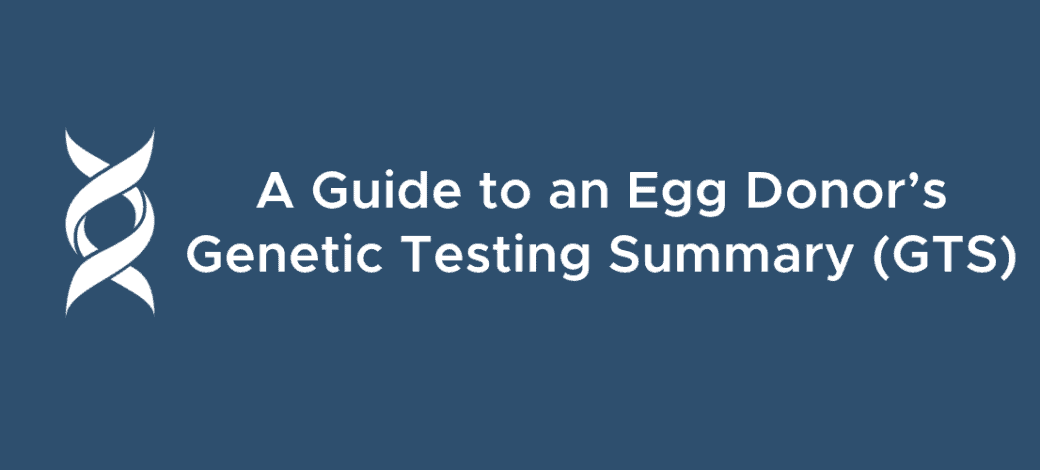 A dark blue-colored banner reads "A Guide to an Egg Donor's Genetic Testing Summary (GTS)."