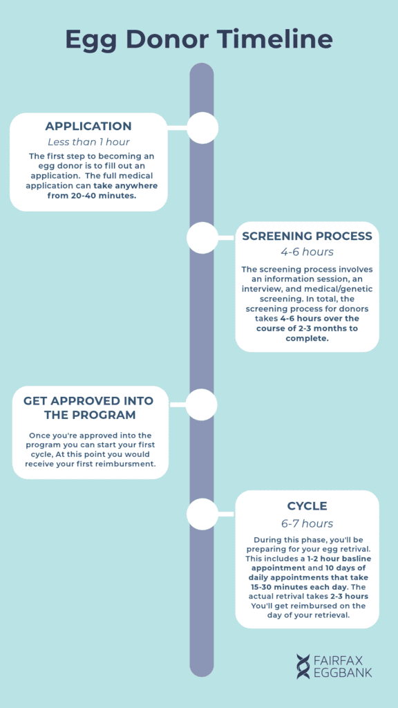 The vertical timeline showing how long a frozen egg donor can expect to donating their eggs to take.